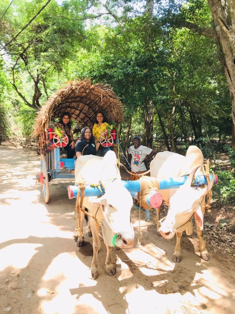 Bull Cart Sri Lanka Village Tour