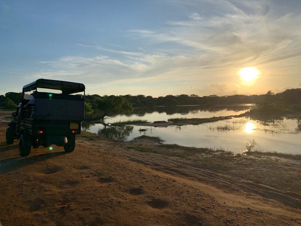 Yala Park Safari