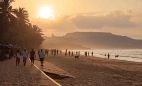 Guided tours in Sri Lanka