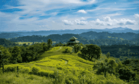 Private tours in Sri Lanka
