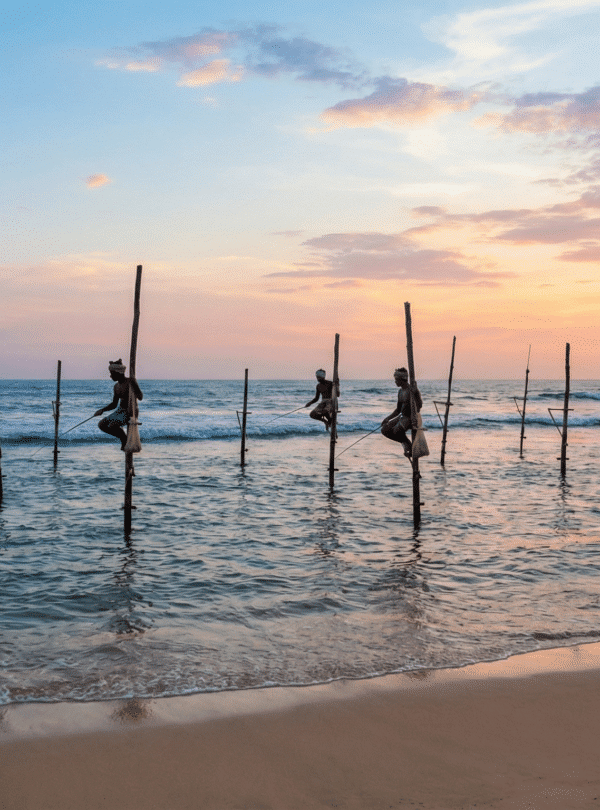 Stilt Fishing in Mirissa Weligama